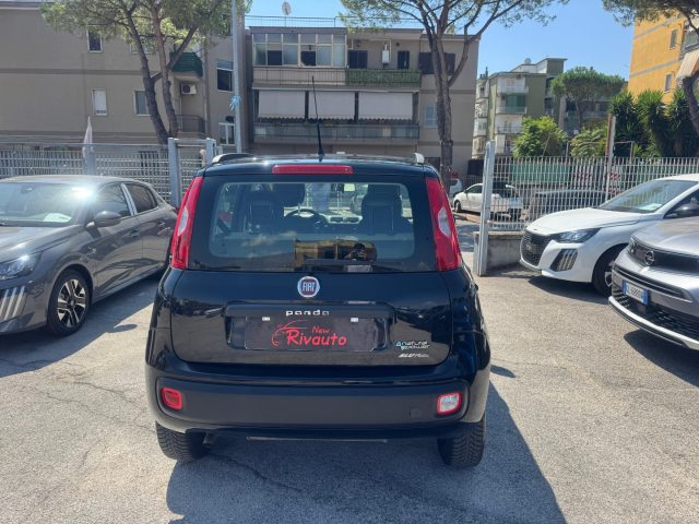 FIAT Panda usata, con Antifurto