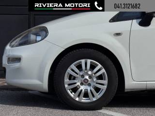 FIAT Punto usata, con Servosterzo