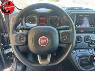 FIAT Panda usata, con Immobilizzatore elettronico