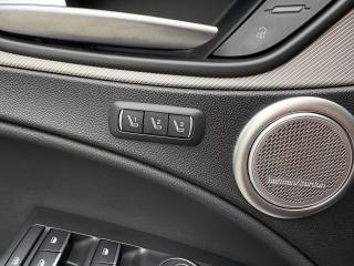 ALFA ROMEO Stelvio usata, con ESP