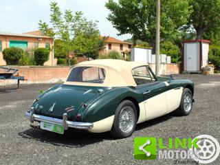 AUSTIN Healey usata 15