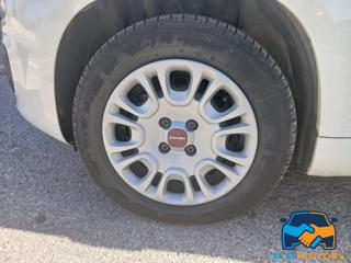 FIAT Panda usata 18