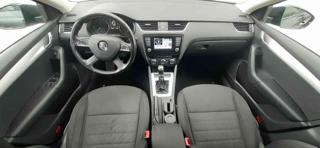 SKODA Octavia usata 18