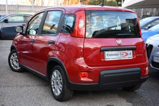 FIAT Panda usata, con Alzacristalli elettrici