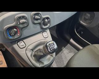 FIAT New Panda usata, con Controllo elettronico della corsia