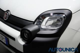 FIAT Panda usata 46