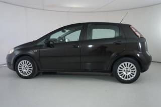 FIAT Punto usata 22