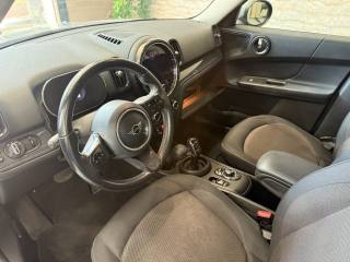 MINI Countryman usata, con Fendinebbia