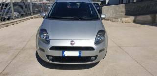 FIAT Punto usata, con Airbag
