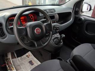 FIAT Panda usata, con Controllo trazione