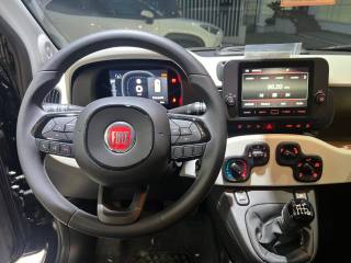 FIAT Pandina usata, con Cruise Control
