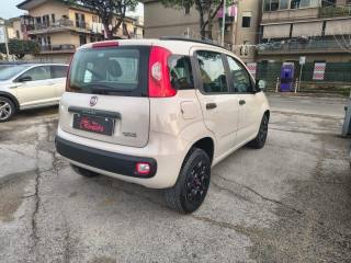 FIAT Panda usata, con Boardcomputer