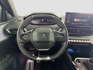 PEUGEOT 3008 usata 11