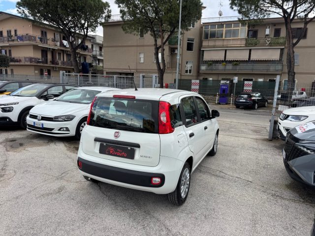 FIAT Panda usata, con Alzacristalli elettrici