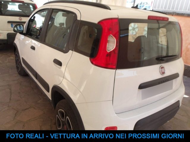 FIAT Panda usata, con Airbag Passeggero