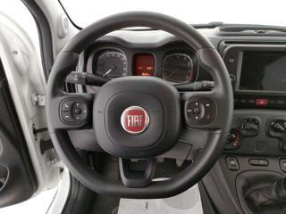 FIAT Panda Cross usata, con Controllo trazione