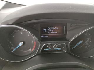 FORD C-Max usata, con Vetri oscurati