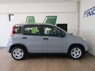FIAT Panda usata, con USB