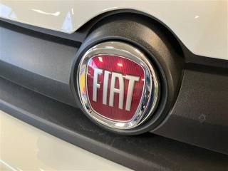FIAT Panda usata 24