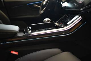 AUDI Q8 usata 74