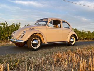VOLKSWAGEN Maggiolino 6 VOLT