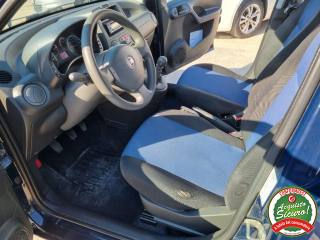 FIAT Panda usata 6
