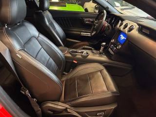 FORD Mustang usata, con Fendinebbia