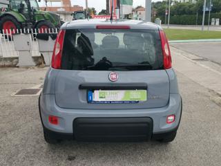 FIAT Panda usata, con Climatizzatore