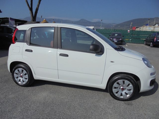 FIAT Panda usata 14