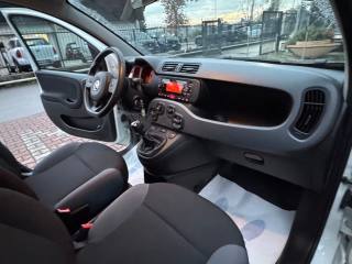 FIAT New Panda usata, con Volante multifunzione