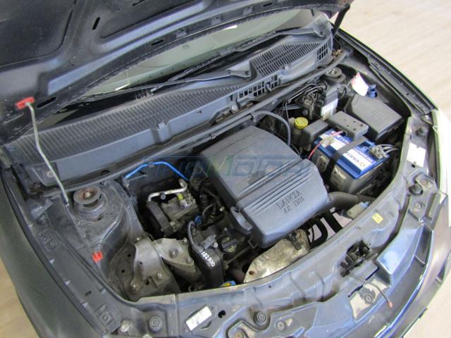 LANCIA Ypsilon usata 13