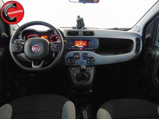 FIAT Panda usata, con Climatizzatore