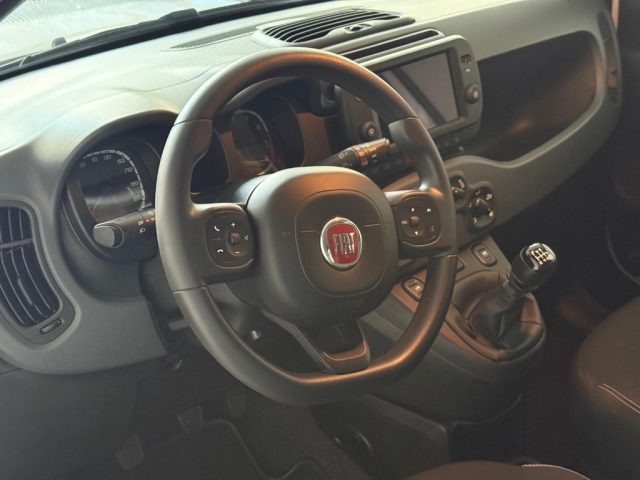 FIAT Panda Cross usata, con Controllo trazione