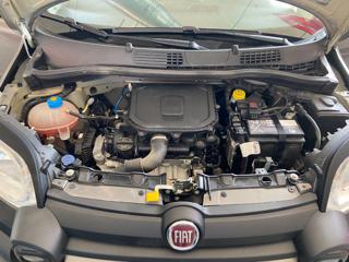 FIAT Panda usata 35