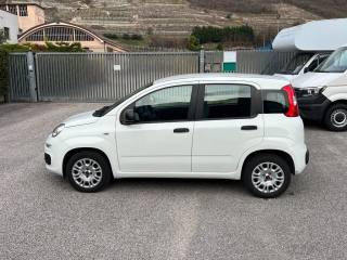 FIAT Panda usata, con Boardcomputer