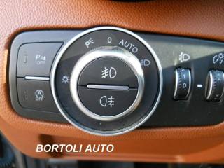 ALFA ROMEO Giulia usata, con Controllo vocale