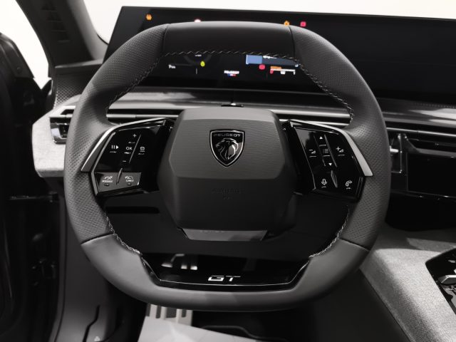 PEUGEOT 3008 usata, con Servosterzo