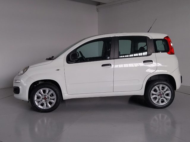 FIAT Panda usata, con Alzacristalli elettrici