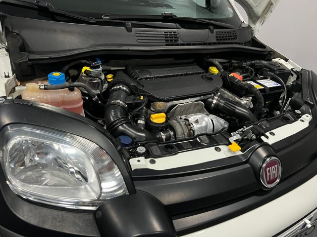 FIAT Panda Cross usata, con Fendinebbia
