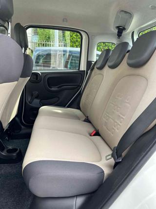 FIAT Panda usata, con Airbag testa