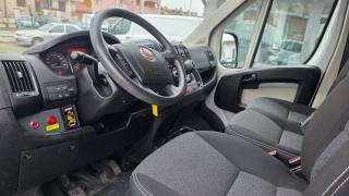FIAT Ducato usata, con Servosterzo