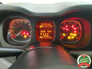 FIAT Panda usata, con Immobilizzatore elettronico