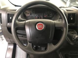 FIAT  usata 10