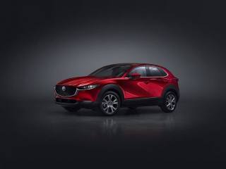 MAZDA CX-30 2.0L e-Skyactiv-G 150 CV M Hybrid 2WD Exceed