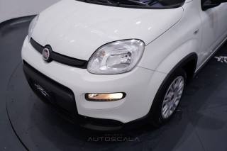 FIAT New Panda usata 23