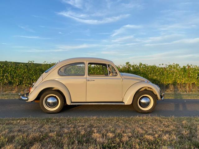 VOLKSWAGEN Maggiolino usata 3