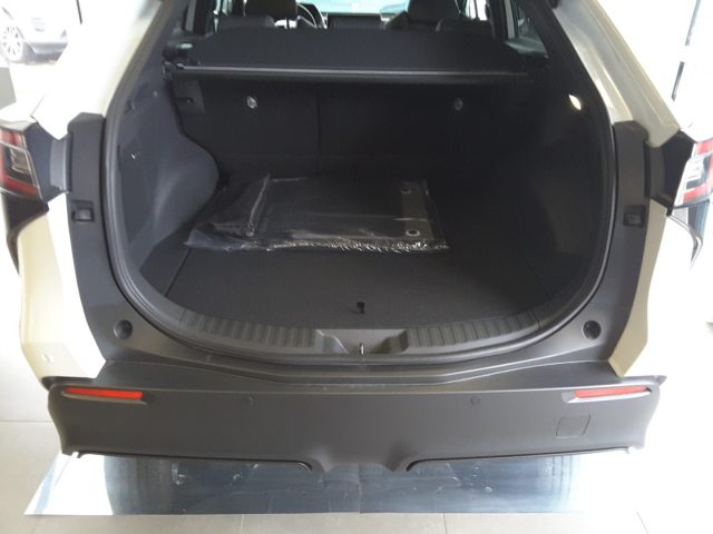 SUBARU Solterra usata, con Immobilizzatore elettronico