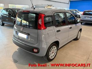 FIAT Panda usata, con Alzacristalli elettrici