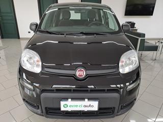 FIAT Panda usata, con Controllo trazione