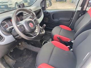 FIAT Panda usata 8